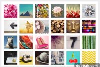 Spotlighting Stellar Freebies