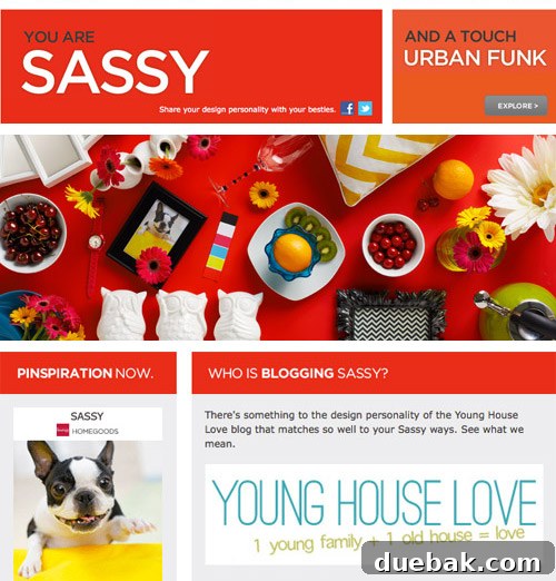 Example of HomeGoods Stylescope Results