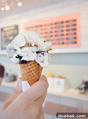 Gelati Celesti: The Store Overload Phenomenon 11 Delicious ice cream cones
