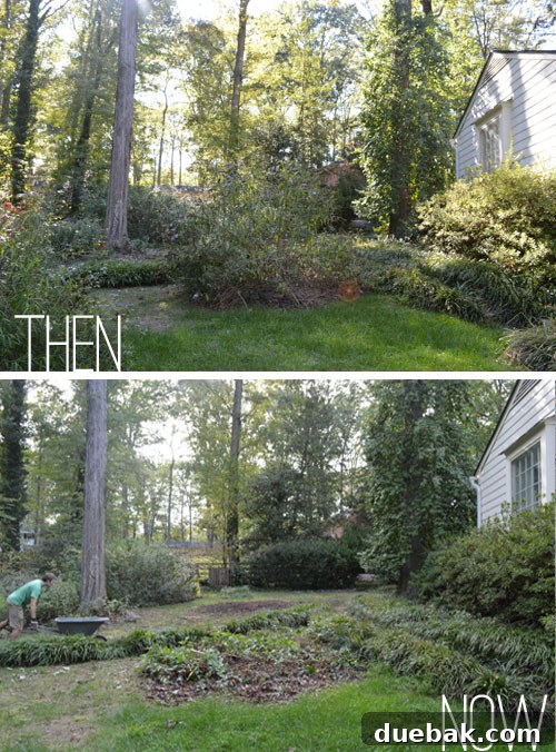 Before and after view of backyard transformation
