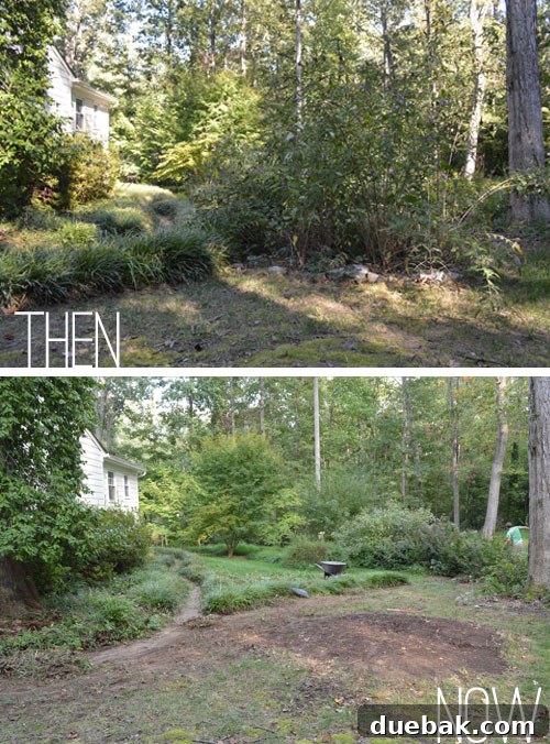 Panoramic view of the transformed backyard