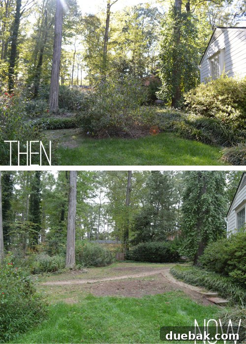 Overview of the newly cleared backyard space, leveled and prepared for grass seeding, showcasing a significant transformation from overgrown wilderness.