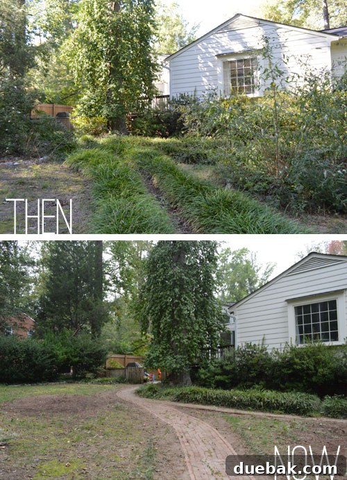 The fully cleared and leveled backyard, showcasing a dramatic transformation and readiness for new grass seeding.