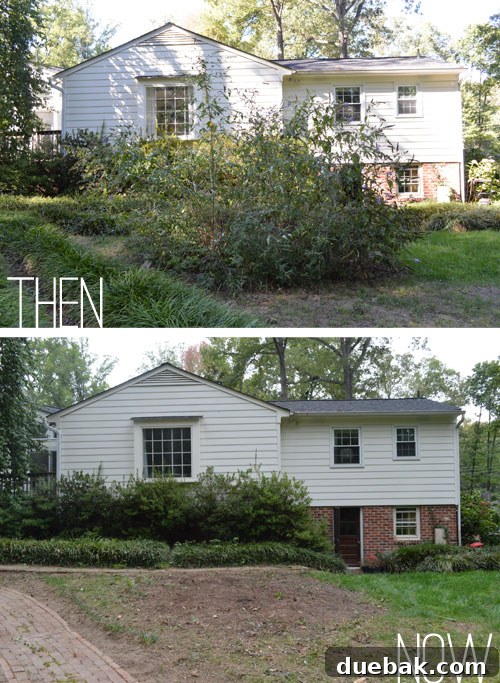 A compelling before-and-after shot revealing how a large, overgrown planting bed once blocked the view of the house, now replaced by an open, clear vista.