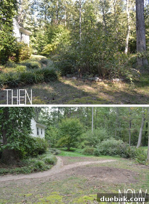 Our backyard after initial clearing and leveling, ready for grass seeding