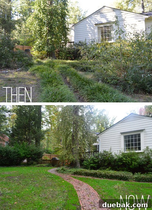View of the house from the backyard path, showing the progress of vine removal and new grass