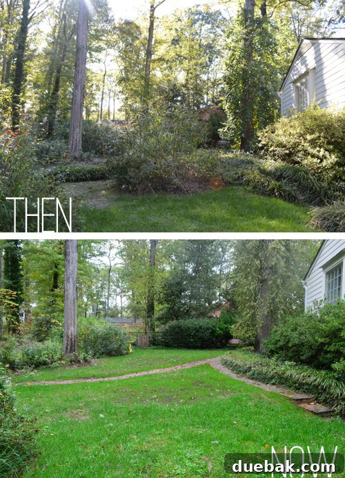 Dramatic before and after comparison of the backyard, showcasing the lush new grass growth