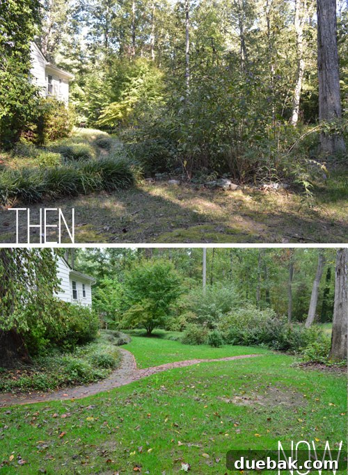 Over a week after seeding, the backyard shows surprisingly lush and vibrant green new grass growth