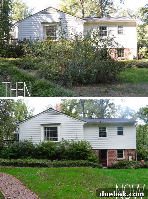 Clara and Burger's future play area, a view of the house from the newly seeded backyard, highlighting the watching window