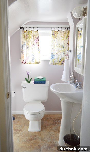 Benjamin Moore Elephant Gray Bathroom Makeover 5 img 52756 4