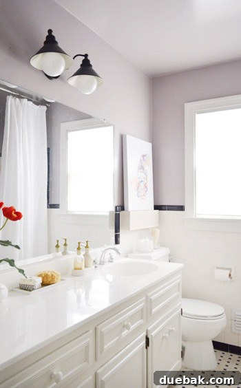 Benjamin Moore Elephant Gray Bathroom Makeover 6 img 52756 5