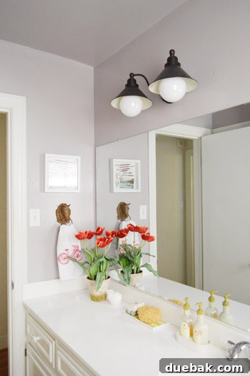Benjamin Moore Elephant Gray Bathroom Makeover 8 img 52756 7