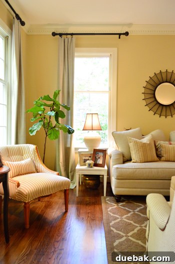 Characterful Comforts: A Home's Warm Embrace 5 Elegant Formal Living Room with Secondhand Finds