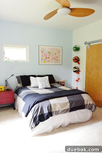 Roommates By Blood 13 Jake's room with plaid bedding, blue accent wall, and basketballs