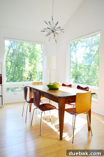 Roommates By Blood 5 Close-up of dining chairs and table, showcasing durable materials