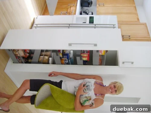 Roommates By Blood 8 Innovative pull-out double-sided pantry in a modern kitchen