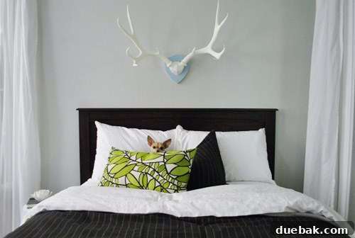 Another angle of the guest bed in the living room corner, with Burger the dog enjoying it.
