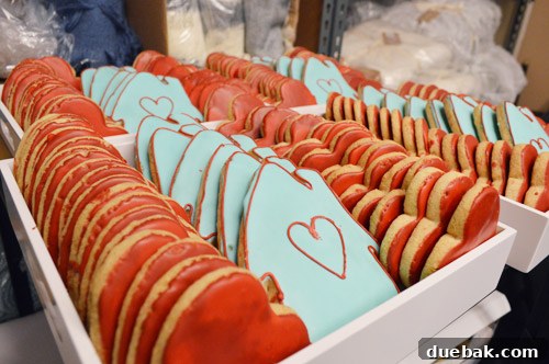 Delicious, large cookies and hot cocoa offered at the West Elm Boston book signing event