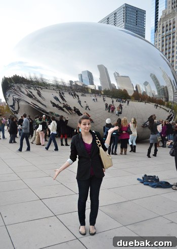 New York, Richmond, Chicago, Toronto: City Tapestry 14 John and Sherry posing in front of Chicago's Cloud Gate (the 'Bean')