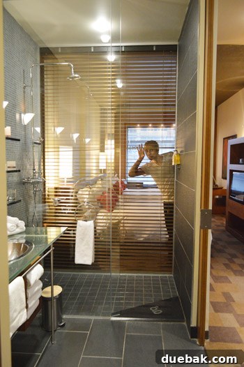 New York, Richmond, Chicago, Toronto: City Tapestry 26 Unique hotel room with a double-sided glass shower