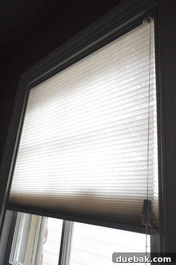 Elevate Your Windows with Frosting 9 Old paper accordion shade on a bathroom window, completely closed for privacy