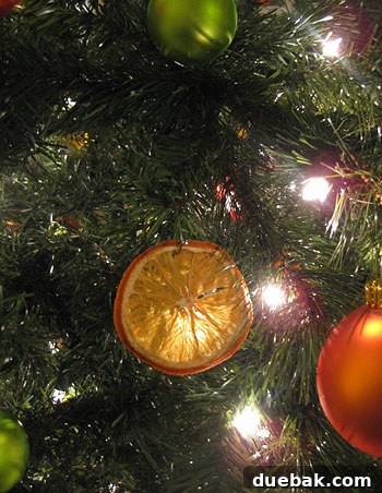 Close Up Of Dried Orange Citrus Christmas Ornament Decoration on Tree