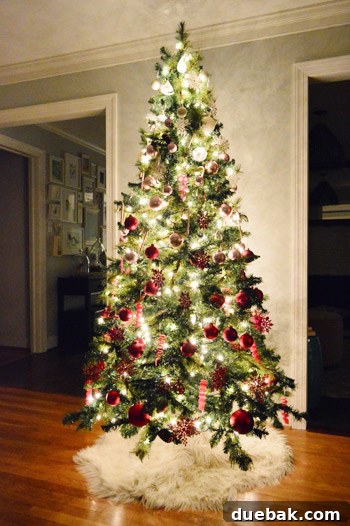 Night Time View Of Gradient Christmas Tree Going White Pink Red