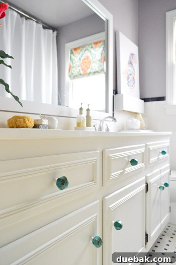 Bathroom decor elements: window with patterned shade and fish art