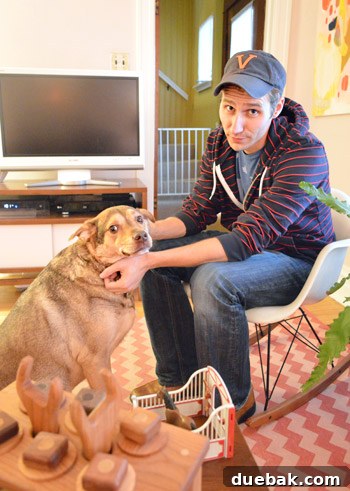 House Transformation: Finally Home 23 Nicole's dog Murray, resembling Burger, captured in a friendly pose