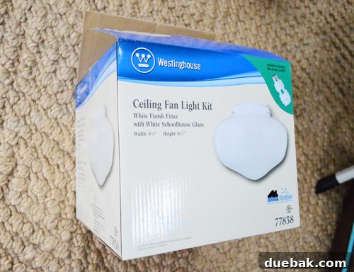 Vintage-style ceiling fan light kit package purchased from a home improvement store