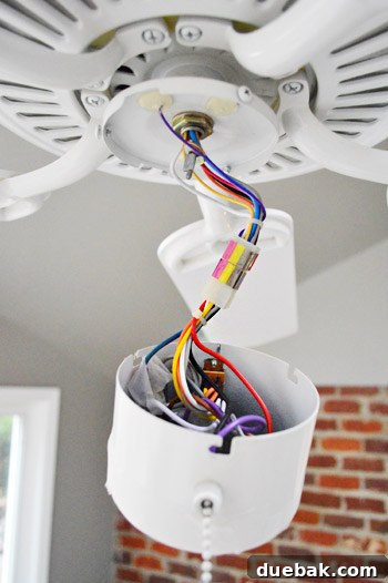 Close-up of complex, multi-colored wiring inside the ceiling fan's housing