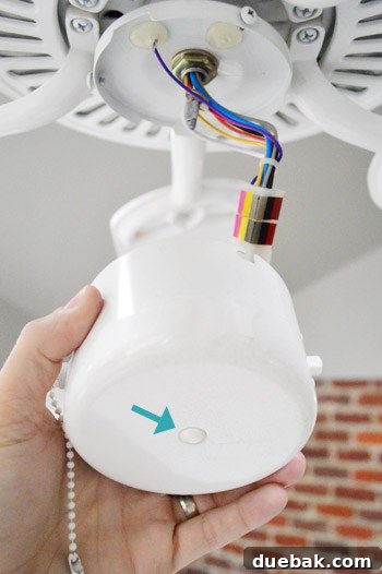 Underside of a ceiling fan showing a small, removable cover for light kit installation