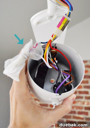 Hidden wires inside the ceiling fan, clearly labeled 'for light', now revealed