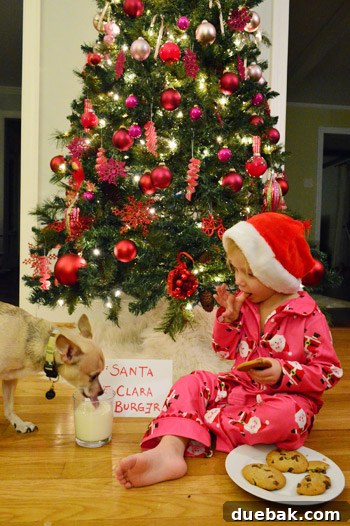 Unique DIY Christmas Photo Card Inspiration 4 Clara and Burger interacting during the Christmas card photo session