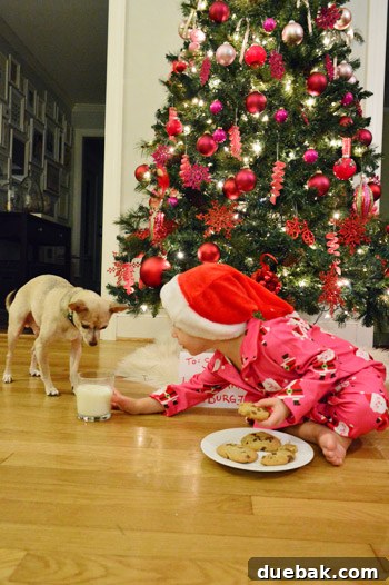 Unique DIY Christmas Photo Card Inspiration 5 Clara inviting Burger to drink milk during their Christmas card photo
