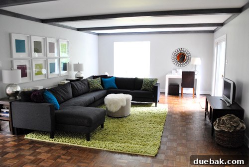 Conquering Buyer's Remorse and Decision Freeze 2 Fluffy green rug in a living room