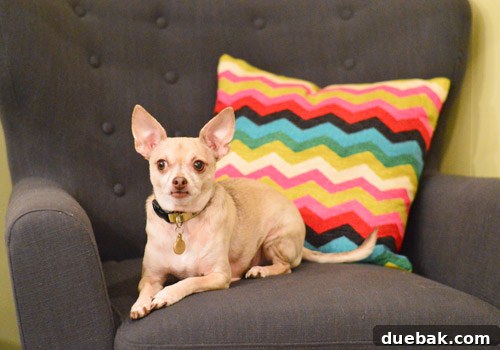 A vibrant, colorful decorative pillow from House of Pillows on Etsy