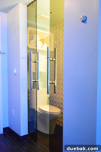 Glass-doored bathroom in the Dream Hotel South Beach