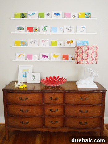 Flash cards arranged on the shelves