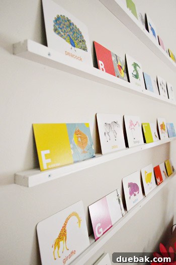Another close-up of flash card display on shelves