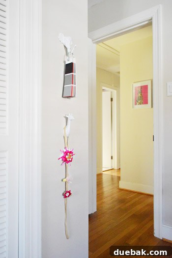 Close-up of decorative animal-shaped hooks