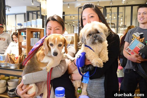 Another photo of the authors interacting with friendly dogs at the book signing.