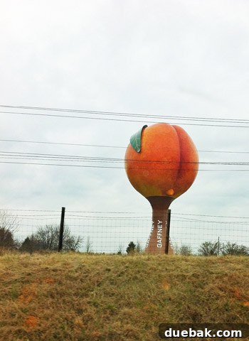 Swapping the Apple for the Peach 33 The iconic giant peach roadside attraction in Gaffney, South Carolina