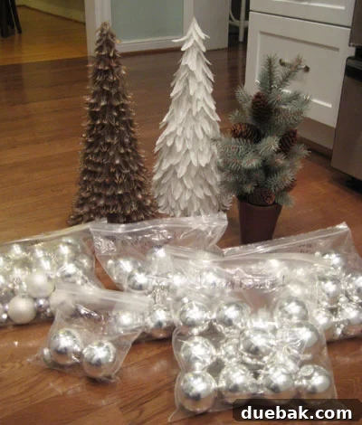Labeled Ziploc bags for organized Christmas ornaments