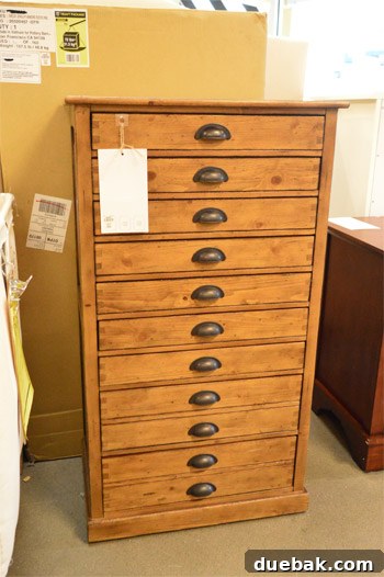 Aspirational cabinet with numerous shallow drawers, perfect for organization