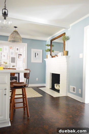 Kitchen fireplace before renovation