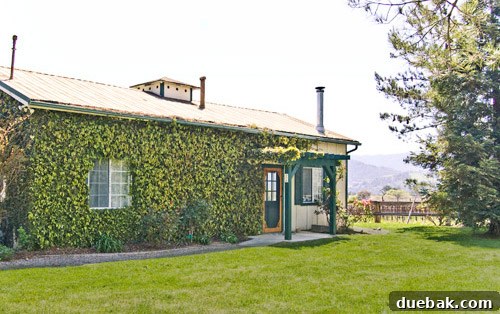 Crashing into Quaintness: The Vine-Covered Home 2 Charming vine-covered barn exterior in Santa Ynez