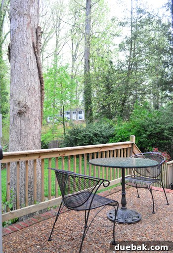 After photo from the same angle: The oak tree is now free of the vine, and the patio underneath appears bright, open, and much more inviting without the heavy overgrowth.