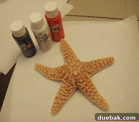 Closeup of a starfish ready to be painted white for the snowman design.