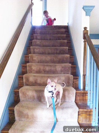Your New Home Questions Answered 11 Stairs leading to the second floor of the new house